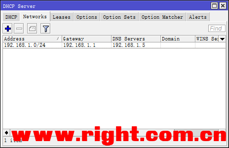 DNS 解析验证